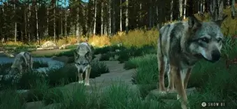 Way of the Hunter Wild America - скриншот